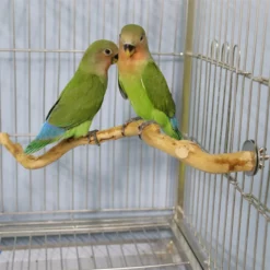 Natural-Parrot-Perch-Bird-Stand-Tree-Stick-Paw-Grinding-Fork-Parakeet-Climbing-Bird-Standing-Branches-Toys-2.webp