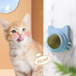 Catnip-Balls-Funny-Lickable-Cat-Snack-Catnip-Balls-Kitten-Playing-Chewing-Cleaning-Teeth-Toy-For-Small-3.webp